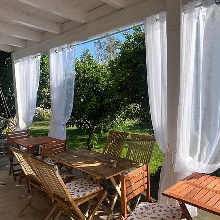 B&B Medali Vernole Exteriér fotografie