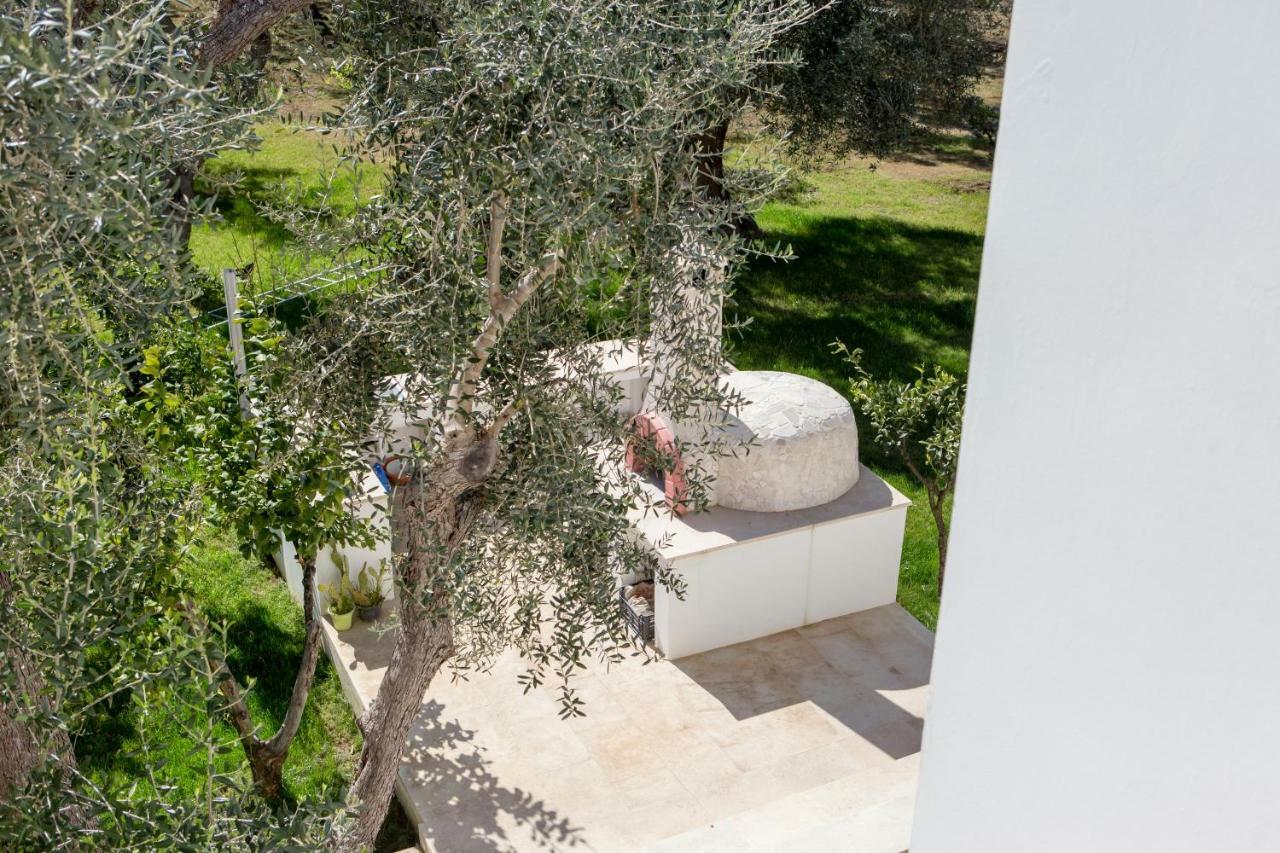 B&B Medali Vernole Exteriér fotografie